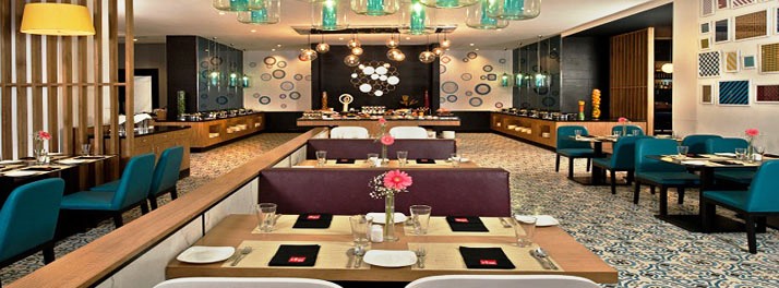 1194/Park Inn by Radisson - New Delhi 07.jpg